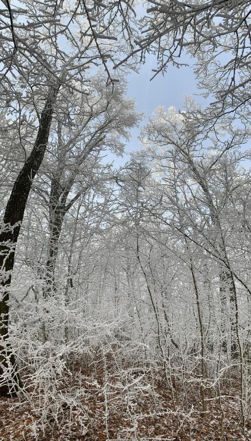 Kisvulkan Nyulontul Mencshely Exterior foto